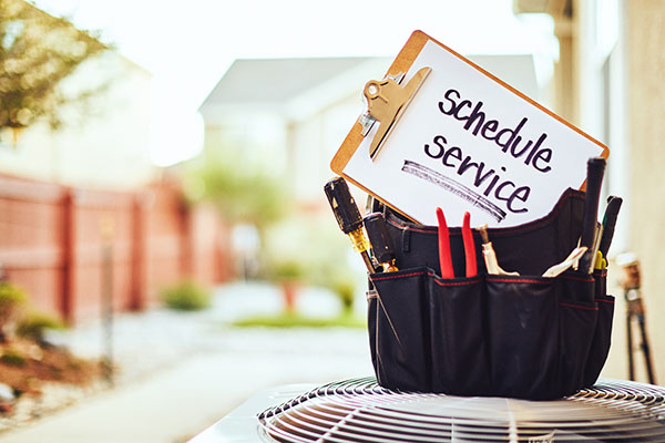 Schedule Service